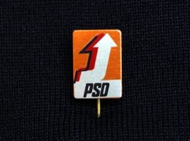 Pin (5)